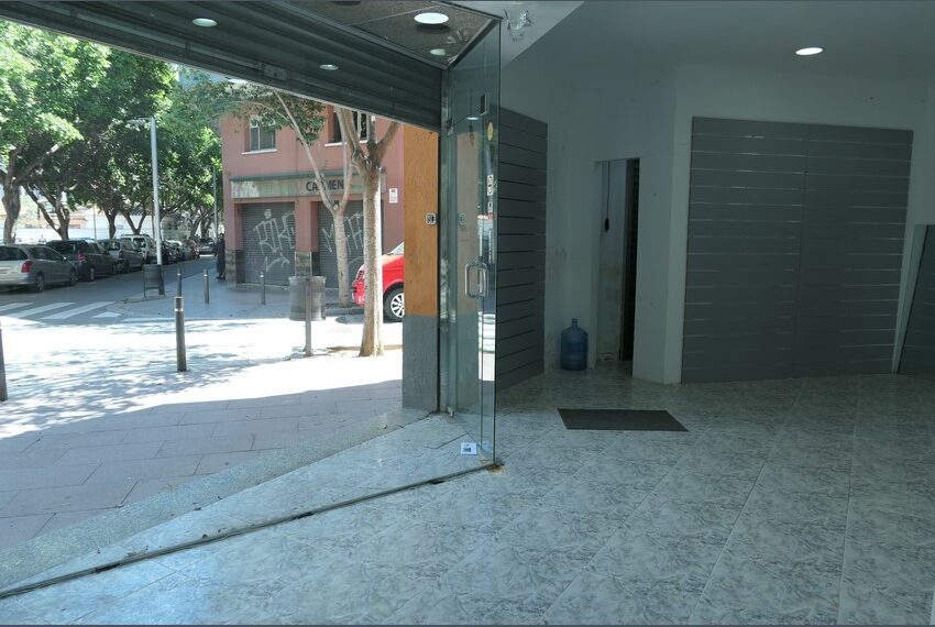 P1160772 (Copiar)