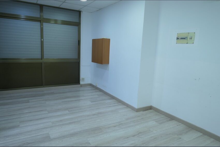P1210214 (Copiar)
