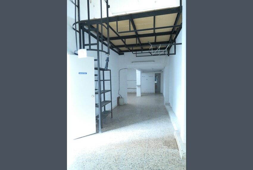 P1210216 (Copiar)